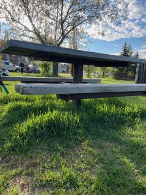 Picnic Table